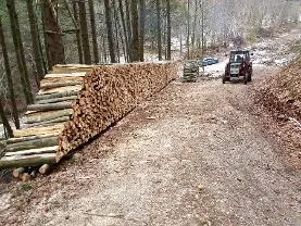 Brennholz Brennholz Buche, Esche