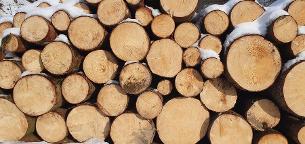 Rundholz Kiefer Großraming