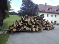 Rundholz Esche für Brennholz