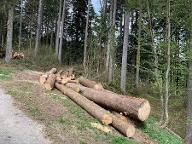 Rundholz Fichte Bloch