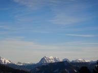 Brennholz Esche, Hainbuche, Rotbuche