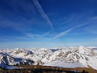 Schnittholz Schwarzkiefer Astrein