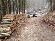 Brennholz Lärche, Douglasie, Fichte