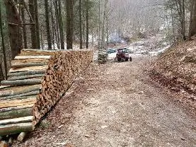 Brennholz Brennholz Lärche, Douglasie, Fichte