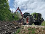 Dienstleistung Förster Chris (Baumpflege)