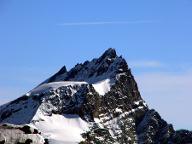 Rundholz Fichte astrein