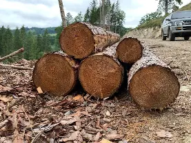 Rundholz Rundholz Lärche