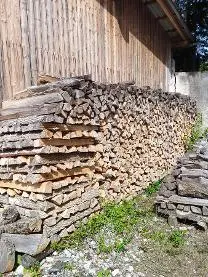 Brennholz Brennholz Esche