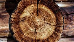 Rundholz Fichte Astrein Mathias