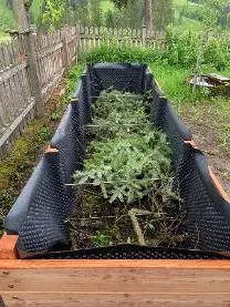 Holzprodukte test