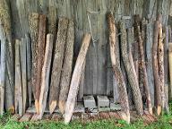 Dienstleistung Förster Chrisas (Jungwaldpflege)