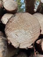 Pellets A2 Großraming